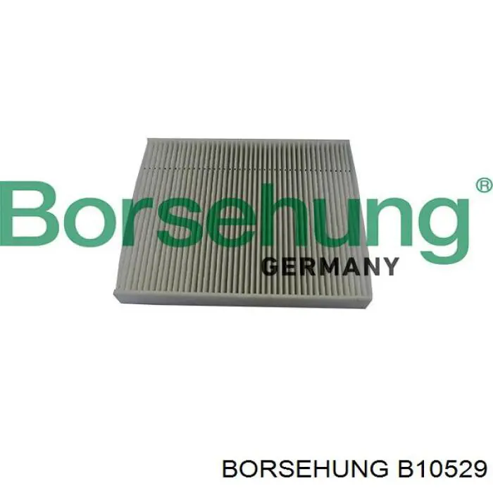 Купити B10529 Borsehung Фільтр салону вугільний