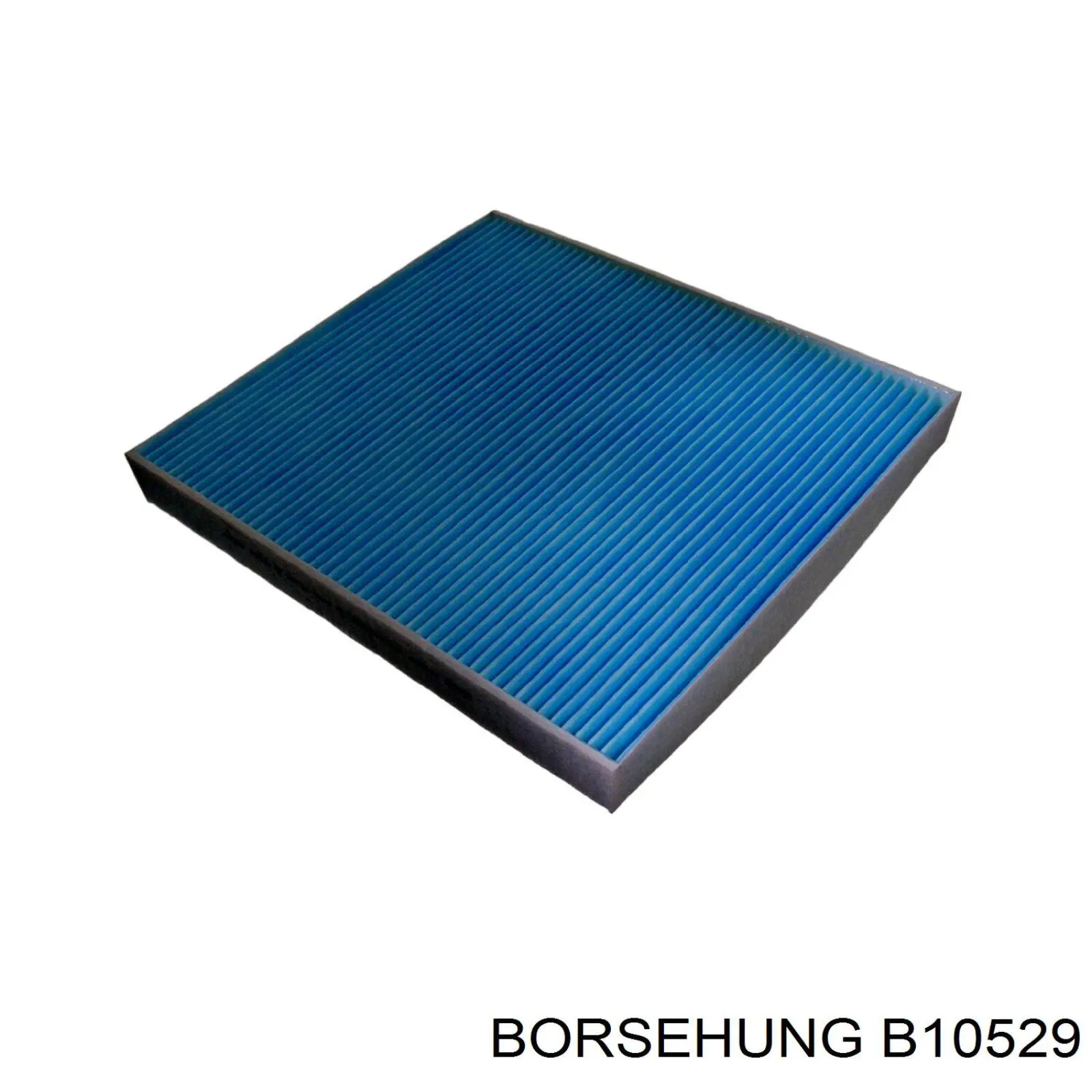 B10529 Borsehung фільтр салону