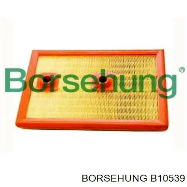 Елемент повітряного фільтра Borsehung B10539 ціна, від 11.82 USD