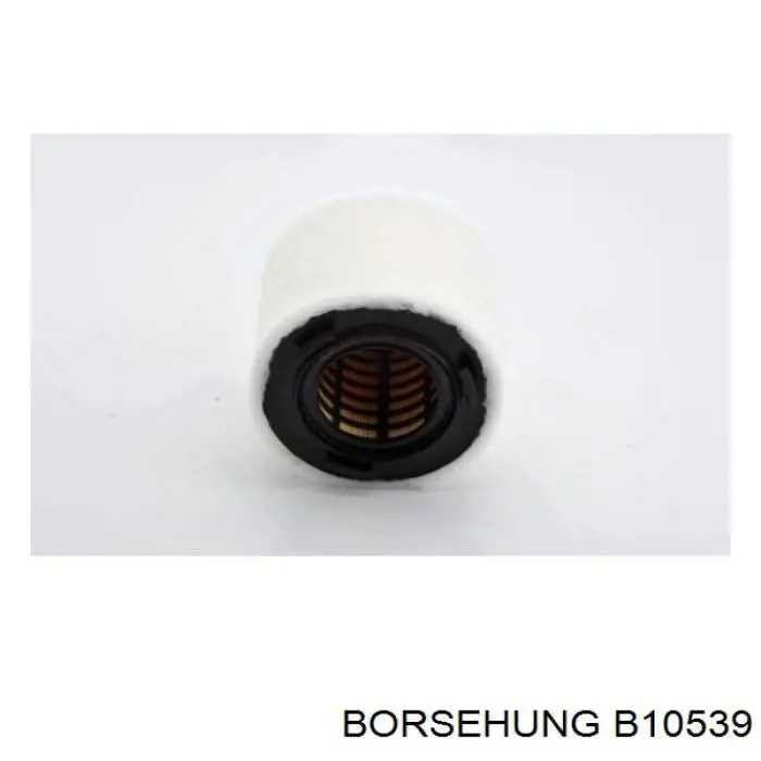 Купити B10539 Borsehung Автомобільний фільтр повітря