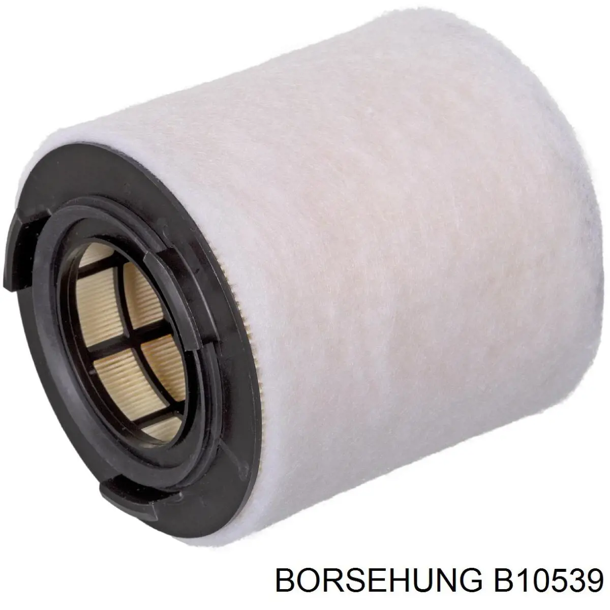 B10539 Borsehung Повітряний фільтр двигуна