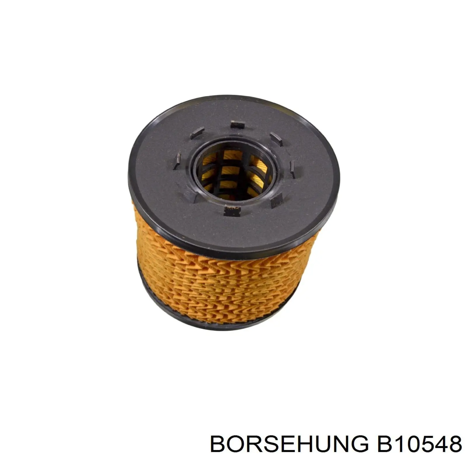 B10548 Borsehung Фільтр масла