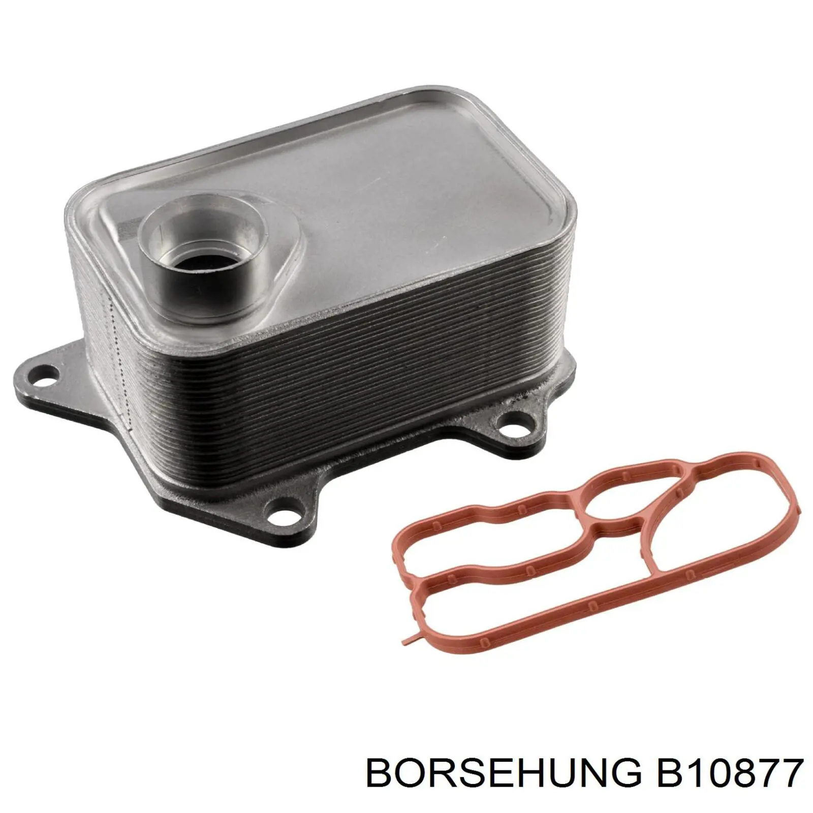 B10877 Borsehung Радіатор масляний (холодильник), під фільтром