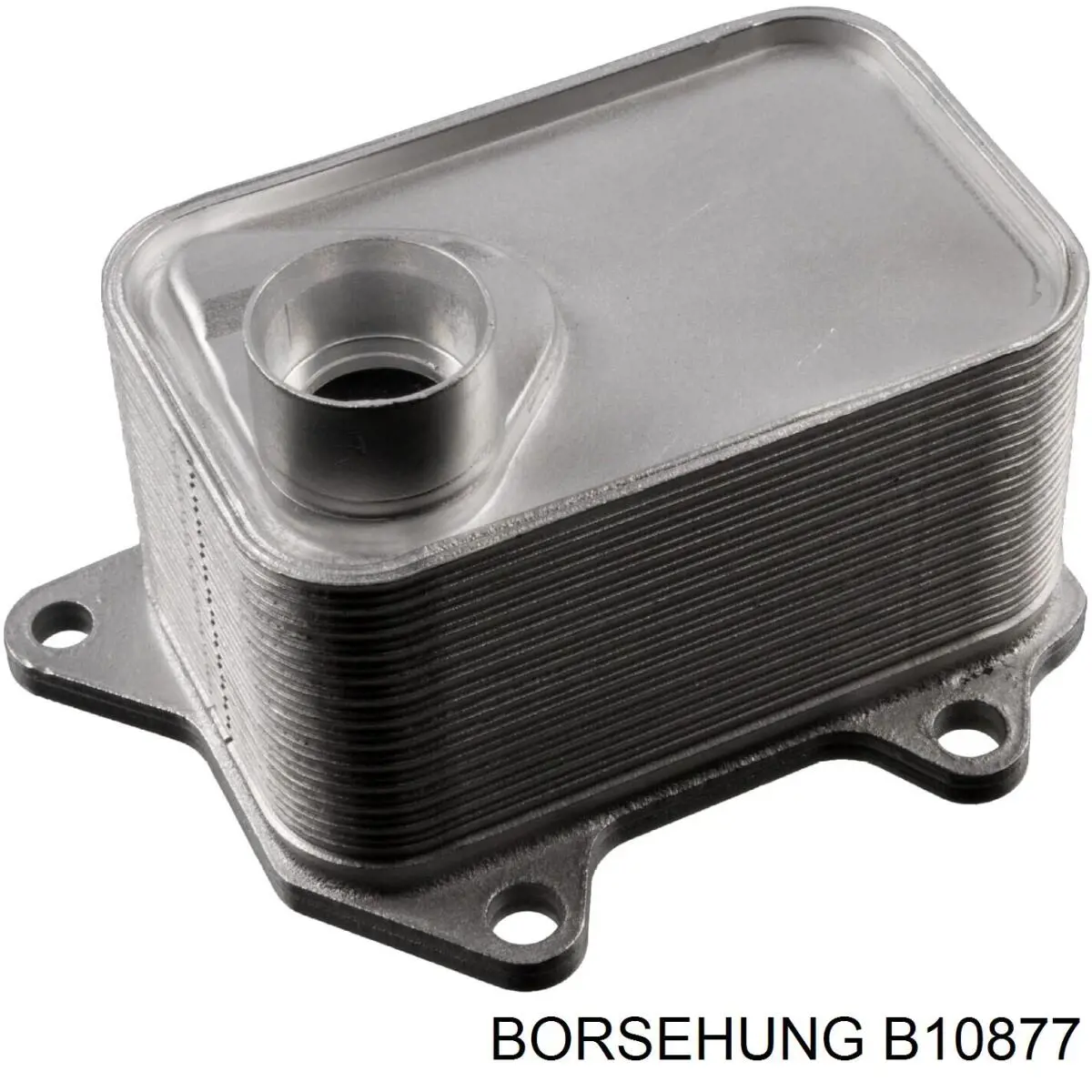 Купити B10877 Borsehung Радіатор масляний (холодильник), під фільтром