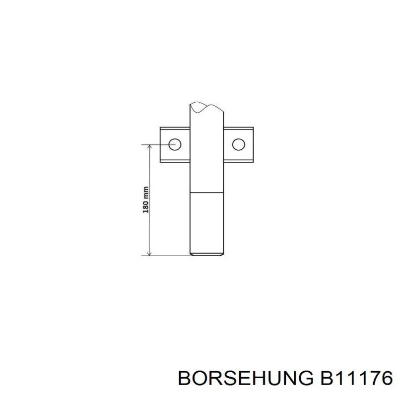 Амортизатор передній B11176 Borsehung