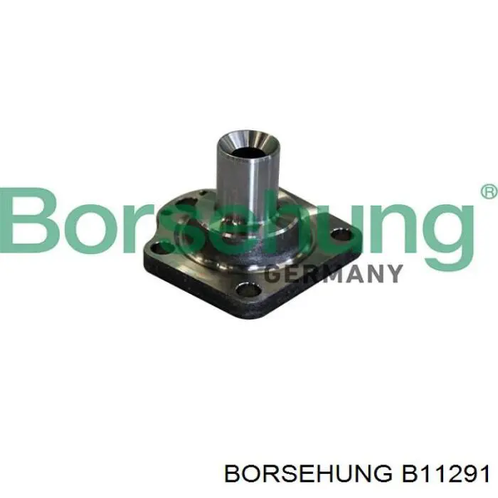 Цапфа - поворотний кулак задній Borsehung B11291 ціна, від 28.43 USD