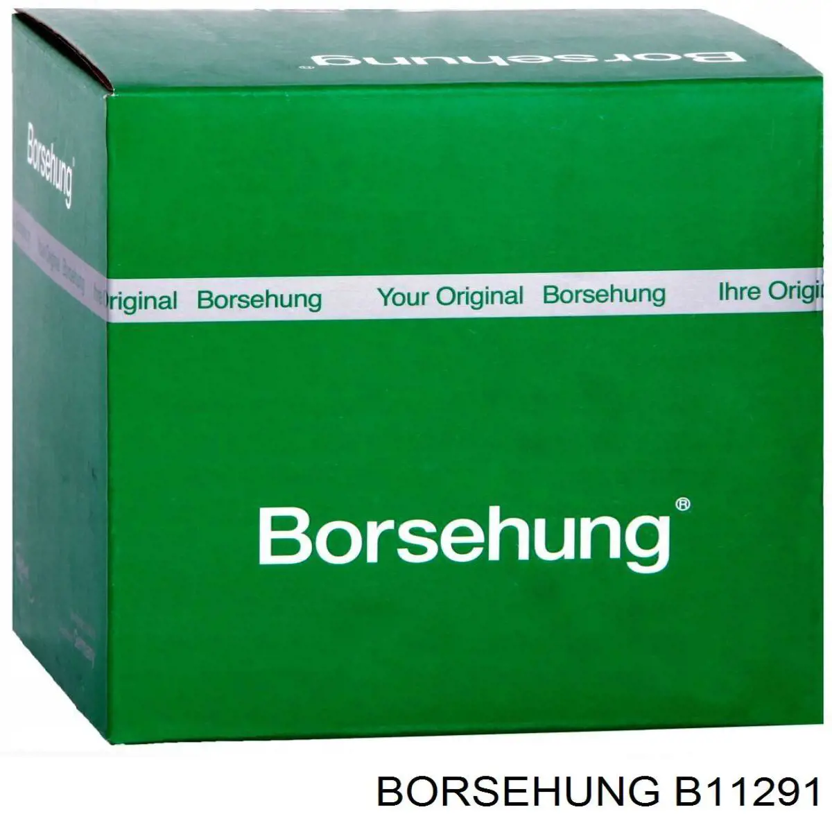  B11291 Borsehung