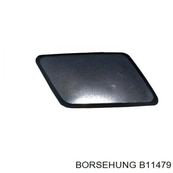 Купити B11479 Borsehung Форсунка омивача фари передньої, лівою