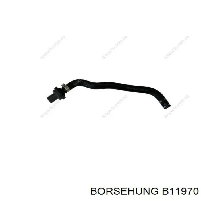 B11970 Borsehung 