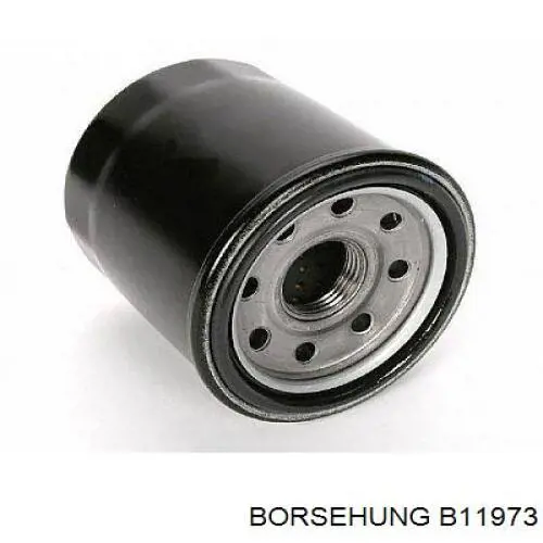 B11973 Borsehung Трубка, що нагнітається