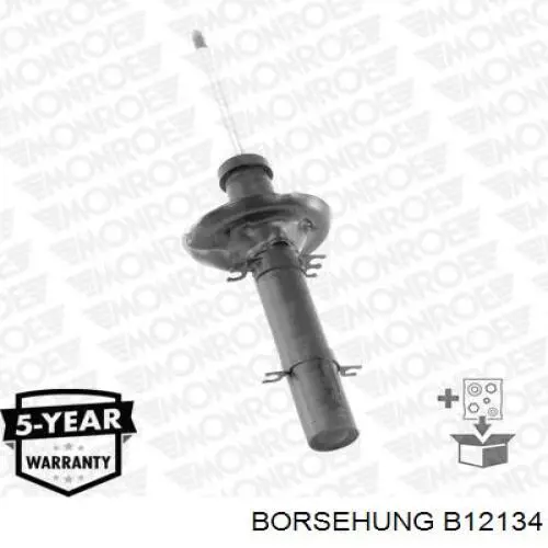 Стойка амортизатора передняя Borsehung B12134 ціна, від 30.41 USD