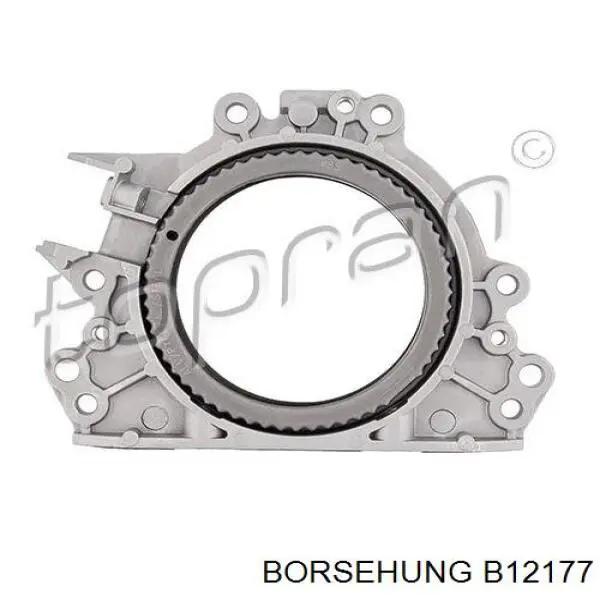 Сальник колінвала двигуна, задній Borsehung B12177 ціна, від 24.89 USD