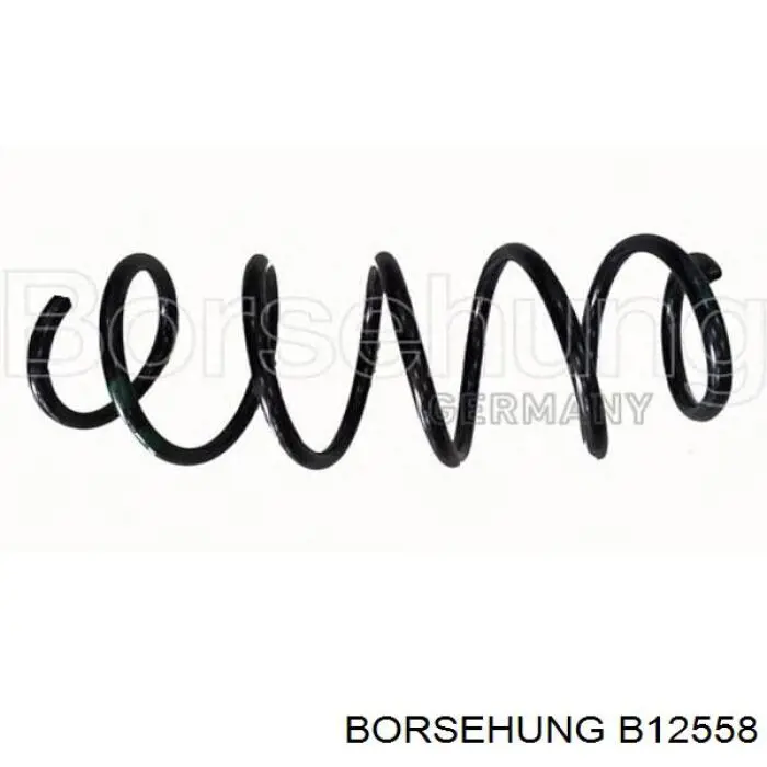 B12558 Borsehung пружина передня