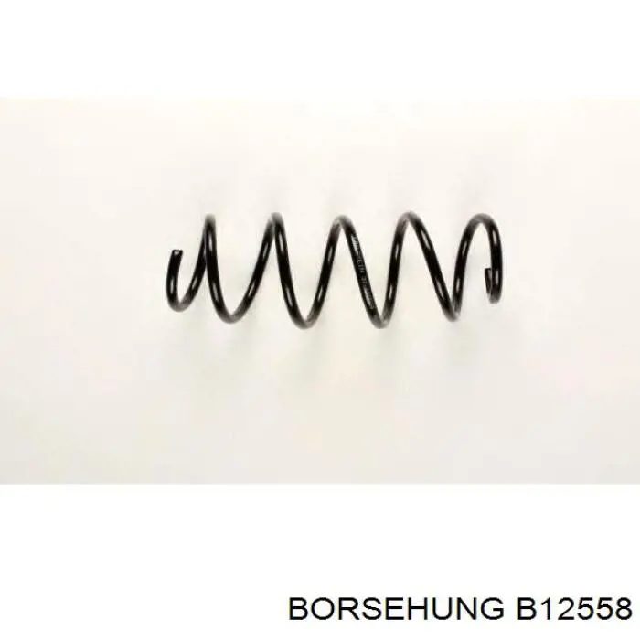 Пружина передня Borsehung B12558 ціна, від 28.76 USD