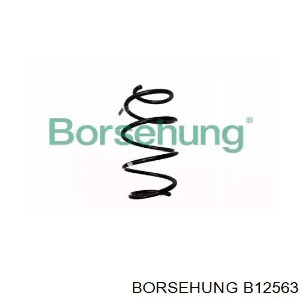 Пружина передня Borsehung B12563 ціна, від 31.00 USD