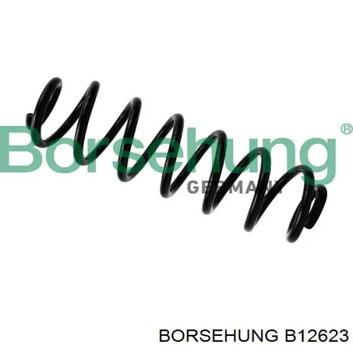 Пружина передня Borsehung B12623 ціна, від 30.79 USD