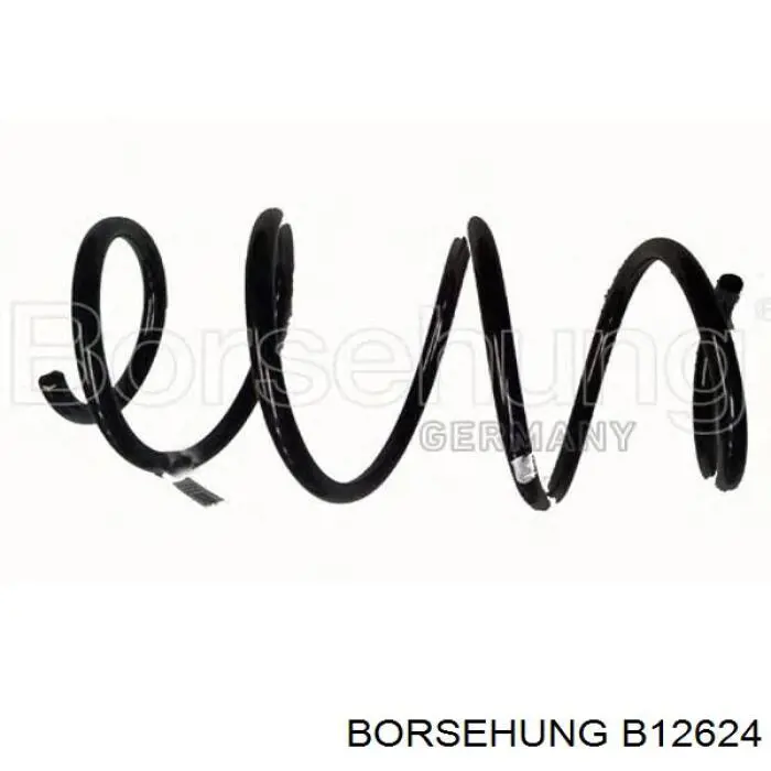 Купити B12624 Borsehung Задні пружини