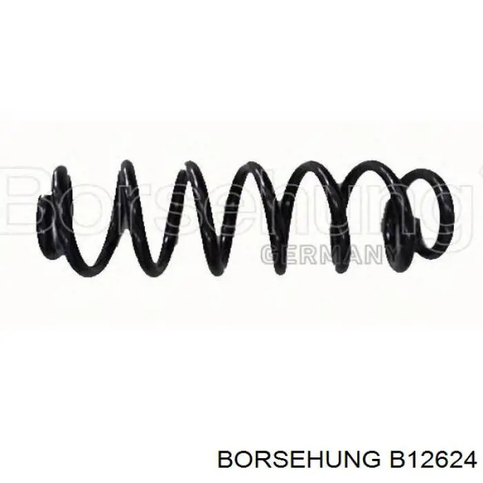Пружина задня Borsehung B12624 ціна, від 30.12 USD