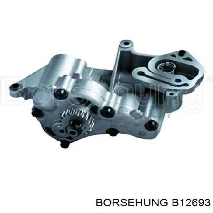 Помпа масляна Borsehung B12693 ціна, від 158.12 USD