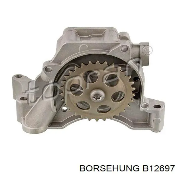 Купити B12697 Borsehung Насос маслозакачуючий