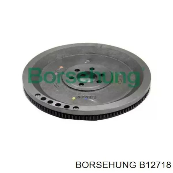 Купити B12718 Borsehung Маховик із зубчастим ободом в зборі