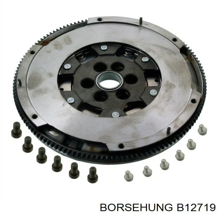 Маховик двигуна Borsehung B12719 ціна, від 101.94 USD