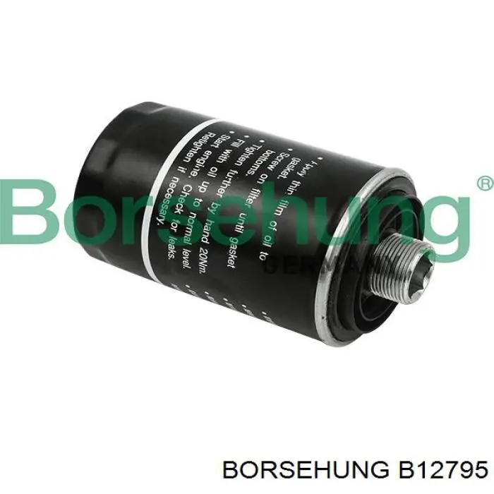 Купити B12795 Borsehung Фільтр очищення масла відцентровий
