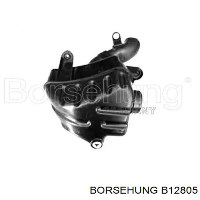 Купити B12805 Borsehung Автомобільний фільтр повітря