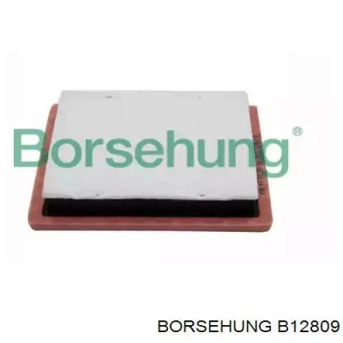 Повітряний фільтр B12809 Borsehung