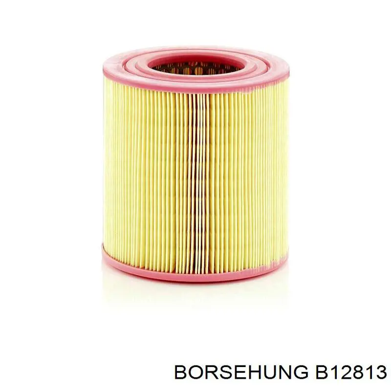 Купити B12813 Borsehung Автомобільний фільтр повітря