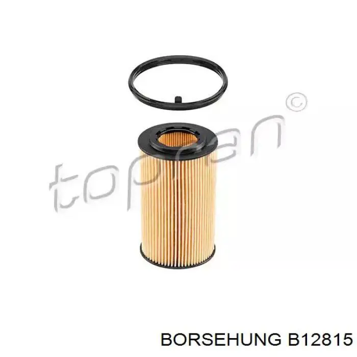 B12815 Borsehung Фільтр масла