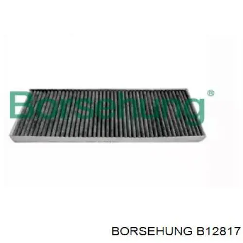 Купити B12817 Borsehung Фільтр салону вугільний
