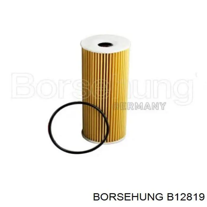 Купити B12819 Borsehung Фільтр очищення масла відцентровий