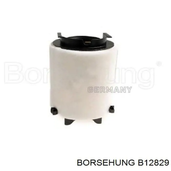 Купити B12829 Borsehung Корпус фільтра
