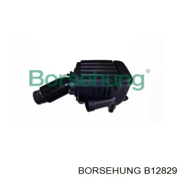 B12829 Borsehung корпус повітряного фільтра