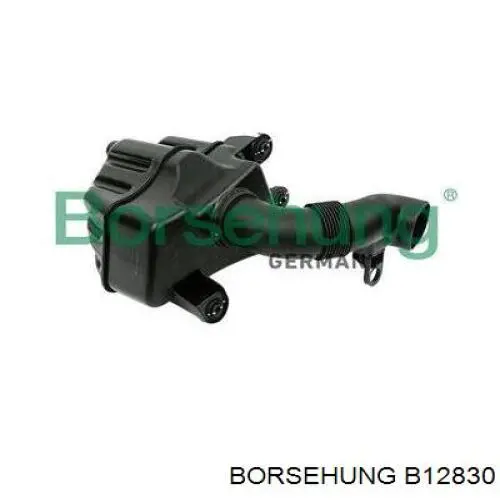 Резонатор повітряного фільтра Borsehung B12830 ціна, від 29.19 USD