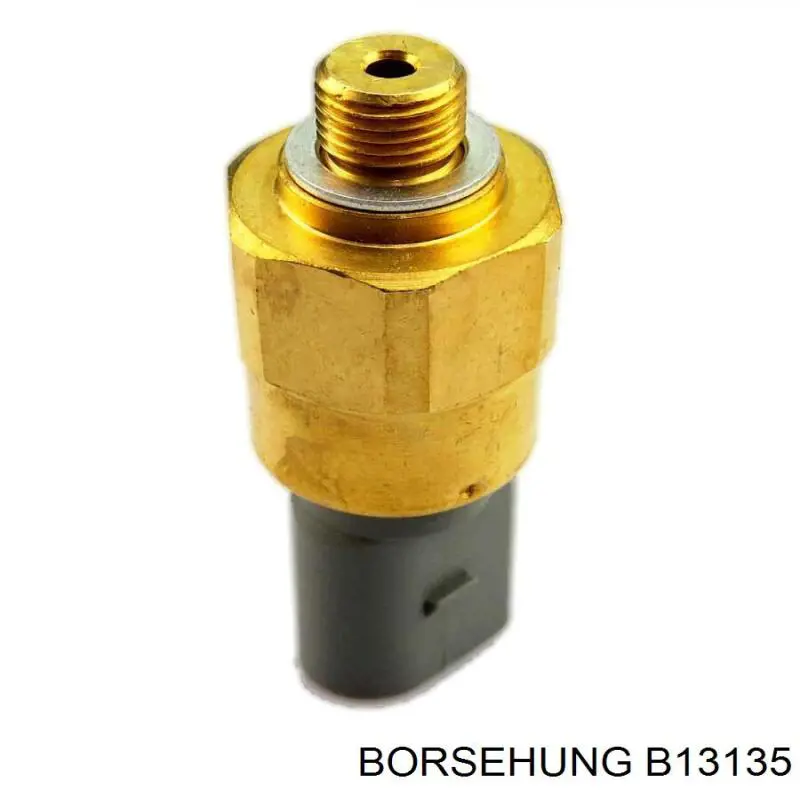 Купити B13135 Borsehung Датчик насосу гідропідсилювача