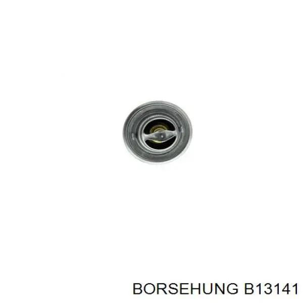 Купити B13141 Borsehung Термостат в корпусі