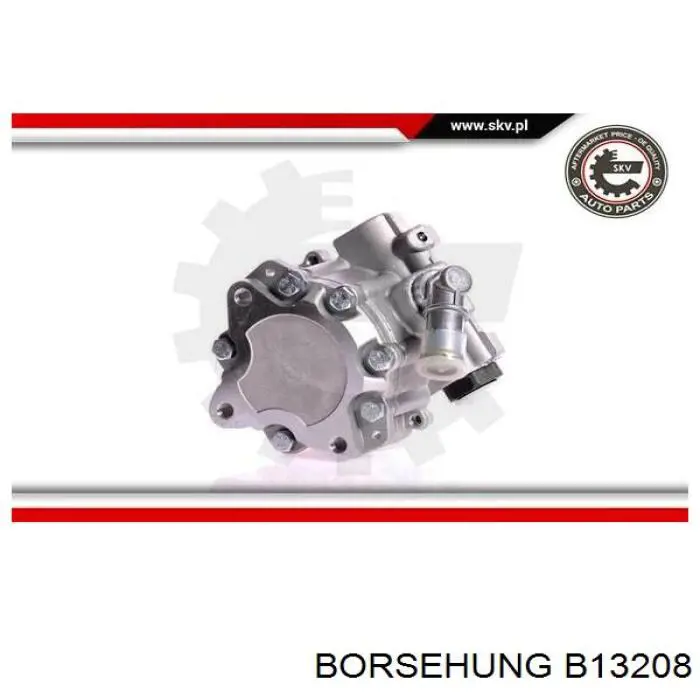 Насос ГУР B13208 Borsehung