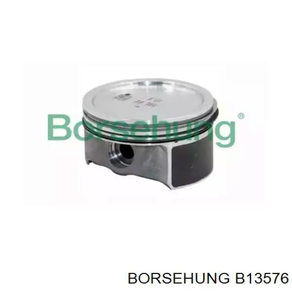 Поршень (комплект на мотор), STD Borsehung B13576 ціна, від 116.43 USD