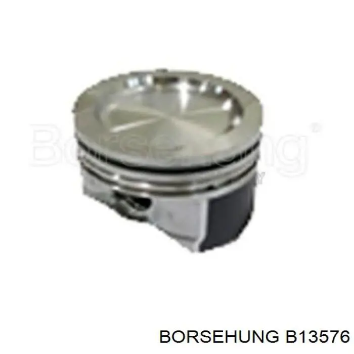 B13576 Borsehung поршень (комплект на мотор, STD)