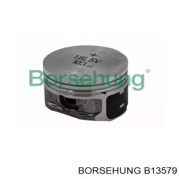 Поршень в зборі Borsehung B13579 ціна, від 53.79 USD