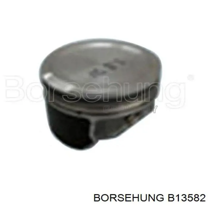 B13582 Borsehung поршень (комплект на мотор, STD)