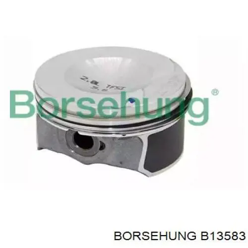  Borsehung B13583 ціна, від 258.77 USD