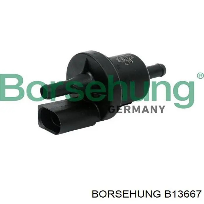 B13667 Borsehung Клапан вентиляції газів паливного бака
