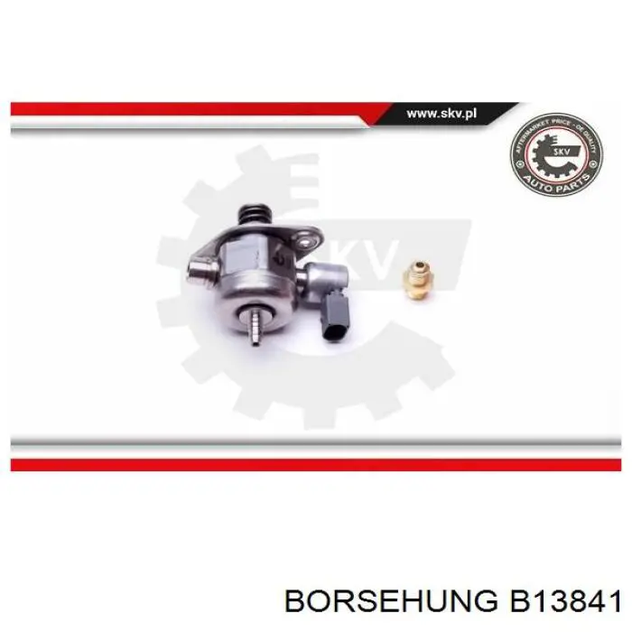 B13841 Borsehung насос паливний високого тиску (пнвт - DIESEL)