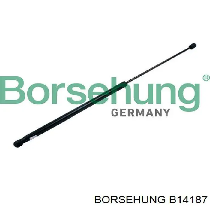Купити B14187 Borsehung Амортизатор під капот