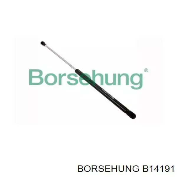 Купити B14191 Borsehung Амортизатор двері багажника