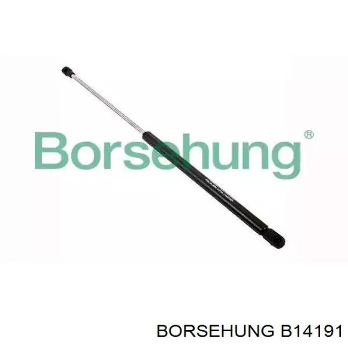 Амортизатор двері задньої Borsehung B14191 ціна, від 9.37 USD