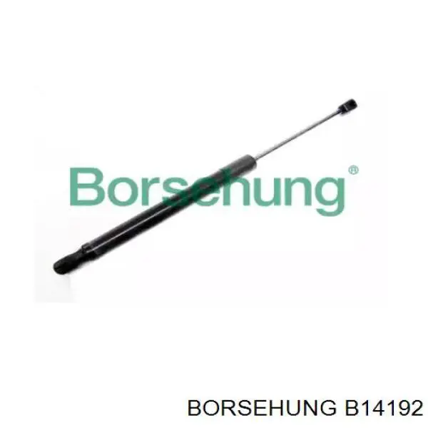 Купити B14192 Borsehung Амортизатор двері багажника